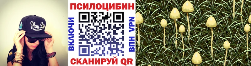 Галлюциногенные грибы GOLDEN TEACHER  OMG рабочий сайт  Дивногорск 